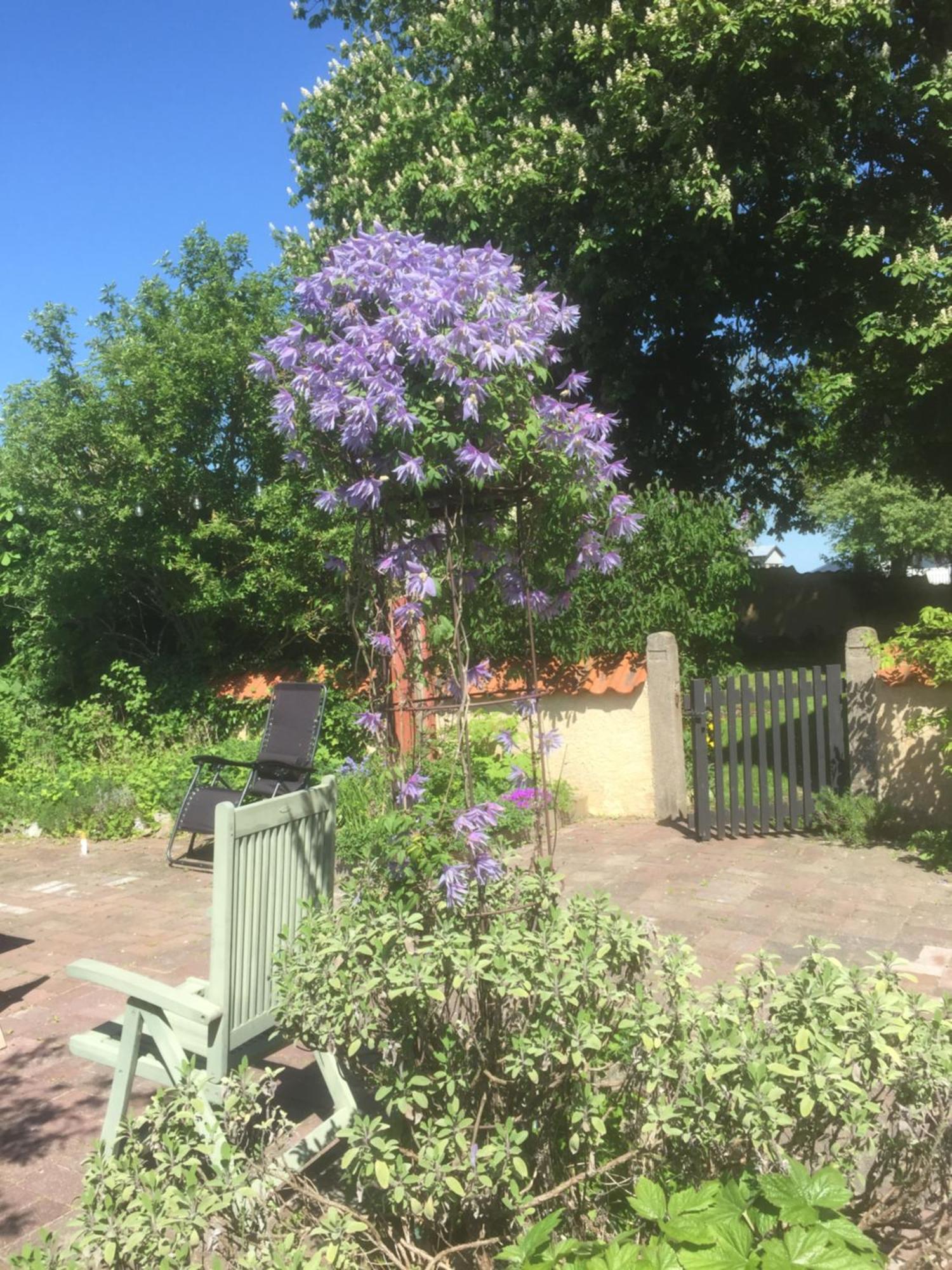 Koepmansgarden Bed & Breakfast Vellinge Cameră foto